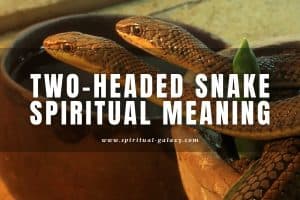 Two-headed Snake Spiritual Meaning: Do They Exist?
