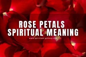 Rose Petals Spiritual Meaning: Does It Signify Romance?