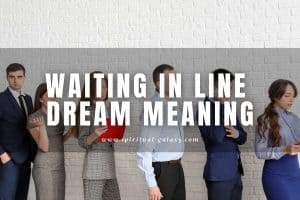 Waiting in Line Dream Meaning: Getting Prioritized!