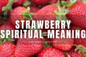 Strawberry Spiritual Meaning: Does it symbolize romance?
