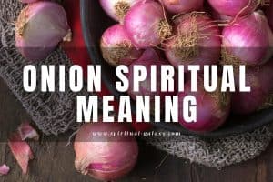 Onion spiritual meaning: Symbolism and Dream Interpretation