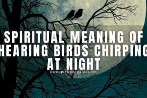 Spiritual meaning of hearing birds chirping at night: A spiritual awakening!