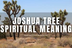 Joshua tree spiritual meaning: Spiritual energy, Symbol, and Mythology