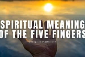 Spiritual meaning of the five fingers: Palmistry and Dream