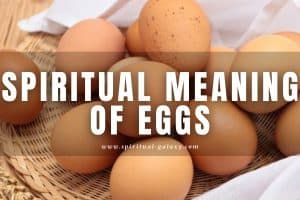 Spiritual meaning of eggs: Interpretation and Meaning
