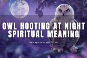 Owl Hooting at Night Spiritual Meaning: Good or Bad Sign?