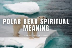 Polar bear spiritual meaning: Symbolism and Dream Meaning