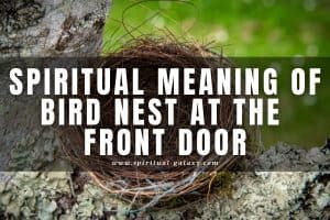 Spiritual meaning of bird nest at the front door: Luck or misfortune?