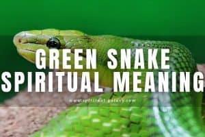 Green snake spiritual meaning: Transformation and Growth