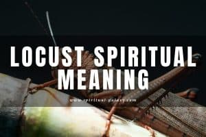 Locust spiritual meaning: Symbol and Biblical Significance