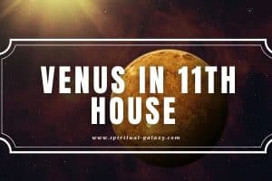Venus in 11th House: Building and Making New Connections