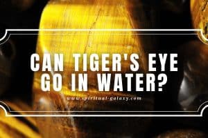 Can Tiger's Eye Go in Water?: Its Color Becomes Vibrant in Water