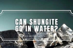 Can Shungite Go in Water?: The Water Purifier!