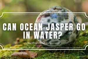 Can Ocean Jasper Go in Water?: Everything you need to know!