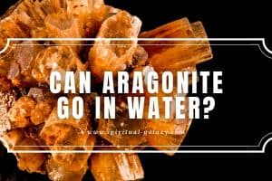 Can Aragonite Go in Water?: Everything you need to know!