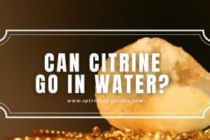 Can Citrine Go in Water?: Everything you need to know!