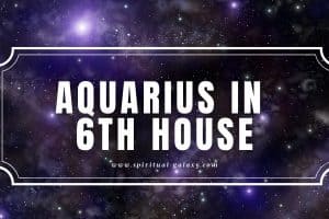Aquarius in 6th House: Intellect and Teamwork for Efficiency