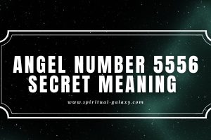 Angel Number 5556 Secret Meaning: Freedom to Serve