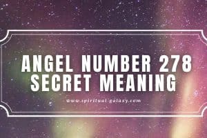 Angel Number 278 Secret Meaning: Your Life is Precious