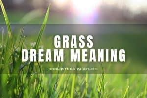 Grass Dream Meaning: Are You Making Good Connections?