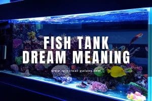 Fish Tank Dream Meaning: Do You Feel Confined?