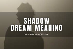 Shadow Dream Meaning: Does It Mean That Someone is Watching Your Back?