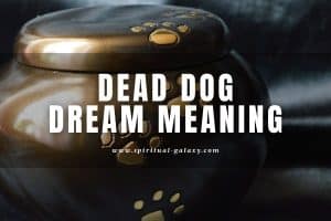 Dead Dog Dream Meaning: The Loyal Guardians!