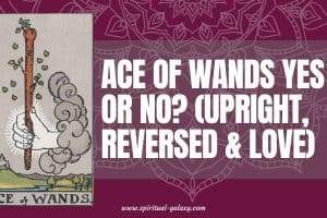 Ace of Wands Yes or No? (Upright, Reversed & Love)